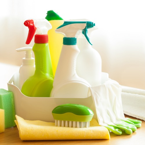 green cleaning tools 500x500